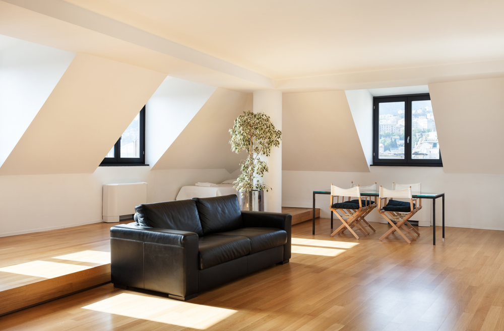 loft perfect for insulation